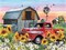 5D DIY Farmhouse Diamond Painting Kits for Adults (Clear) 11.8 x 2 x 1 inches